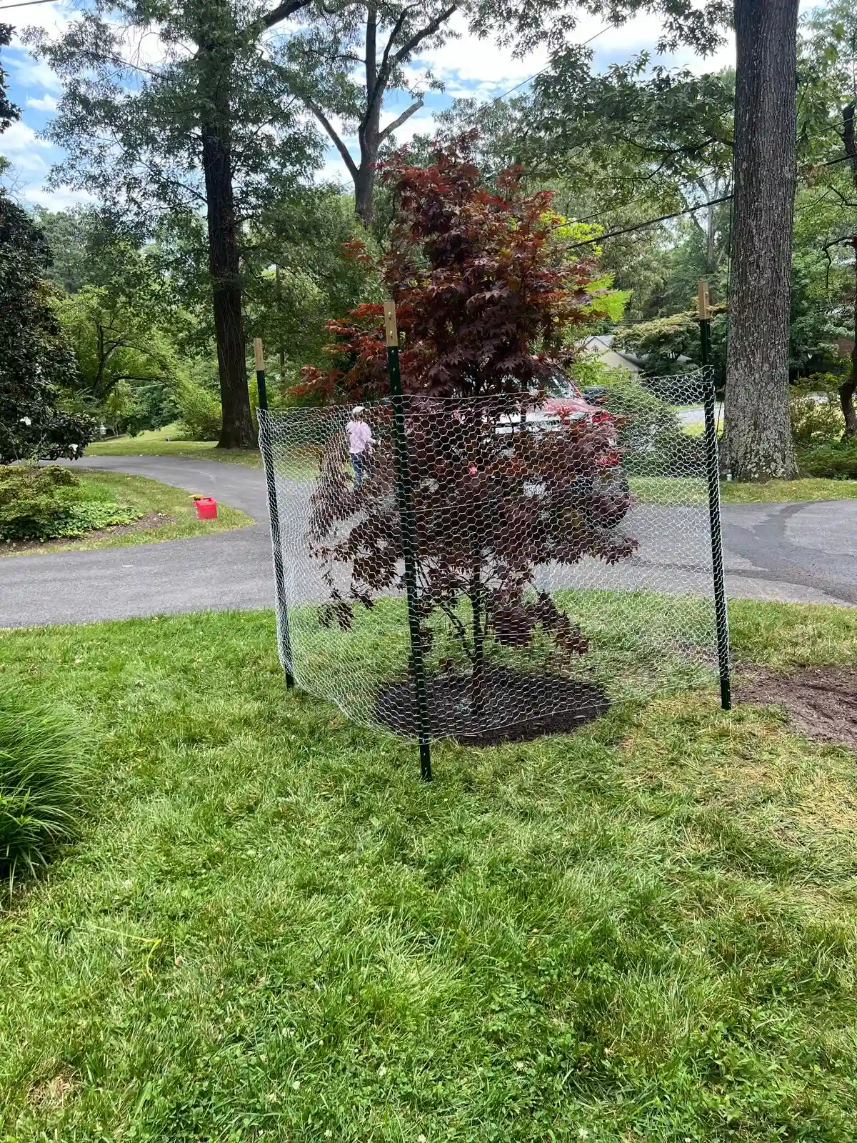 Landscaping design project in Maryland 2