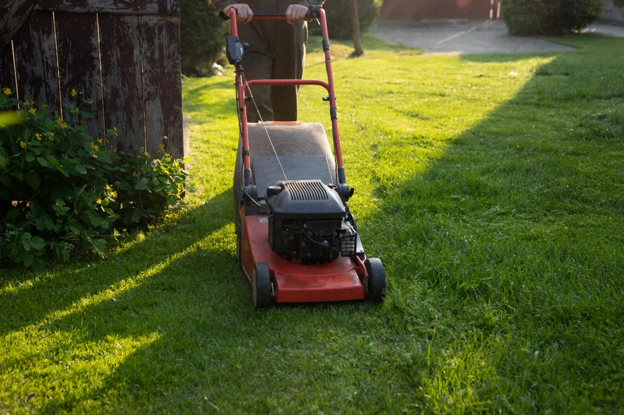 Lawn maintenance service in Maryland