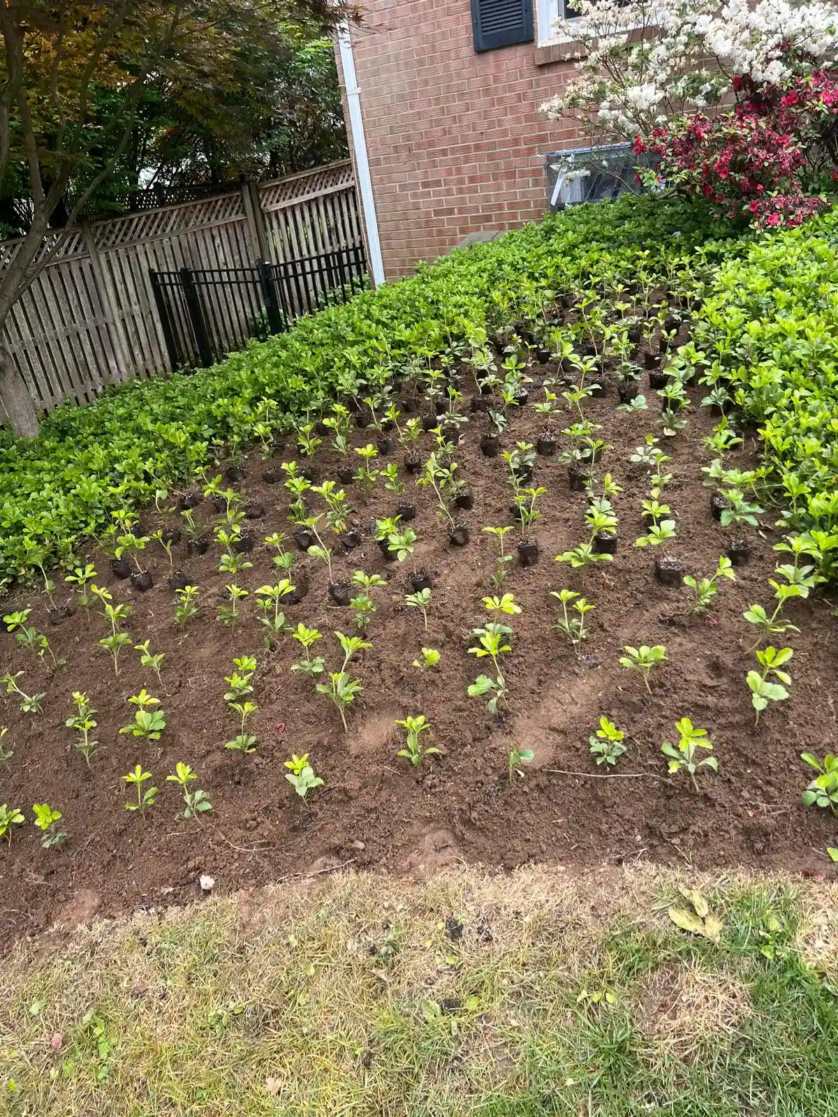 Planting service in Maryland