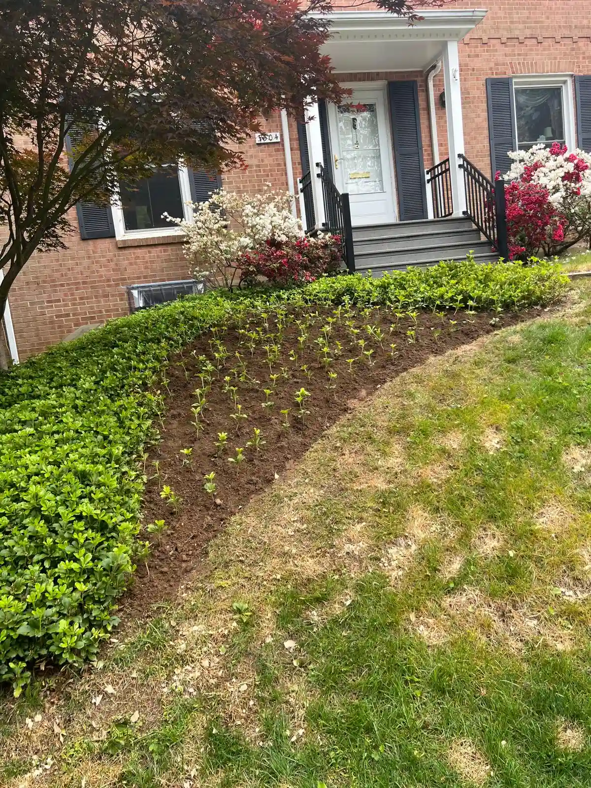 Planting service in Maryland 2