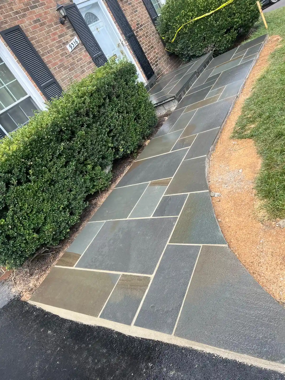 Tree and shrub pruning in Maryland