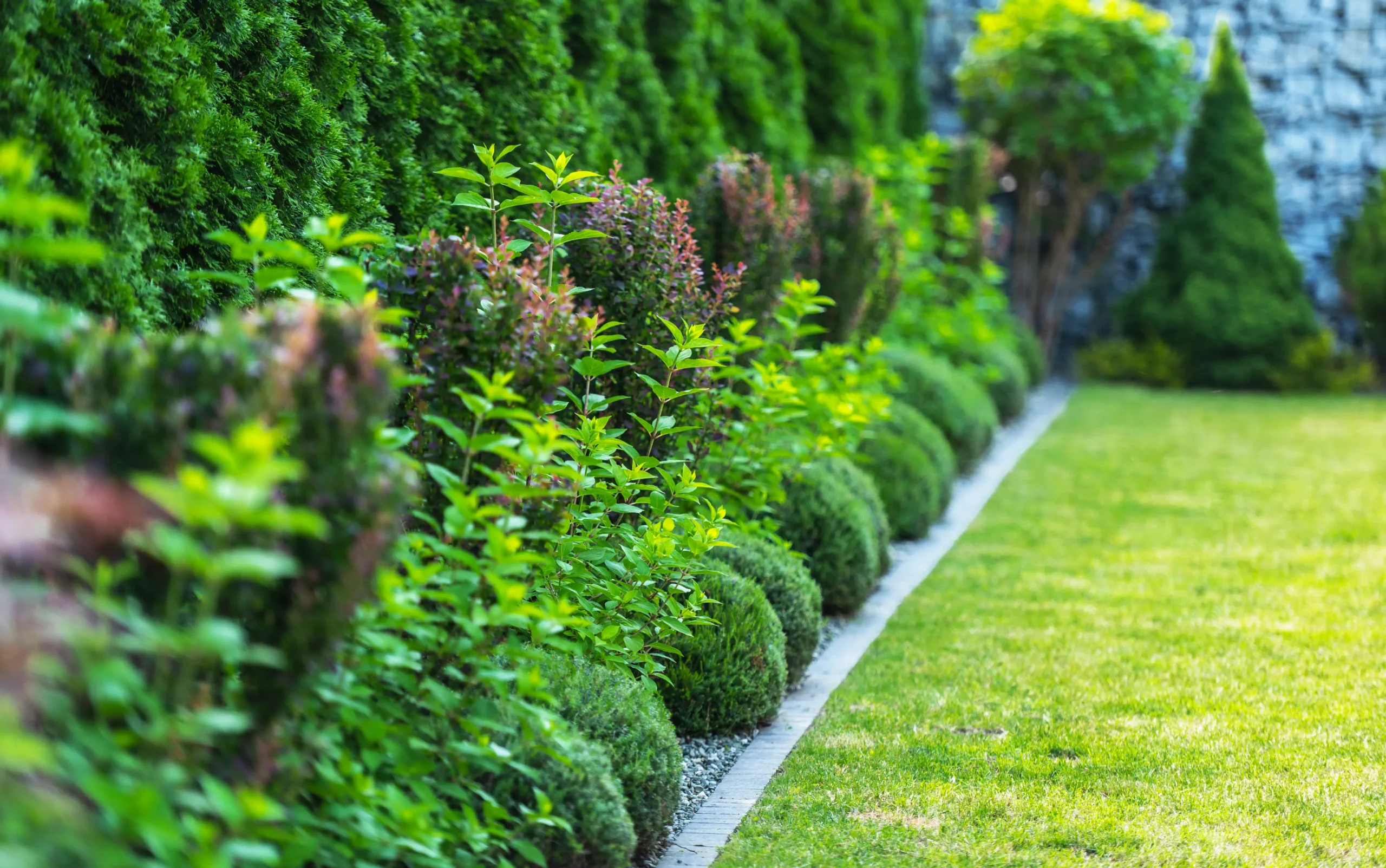 Landscaping design in Maryland